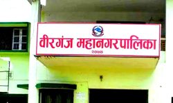 तीस युनिटको विद्युत् महसुल वीरगञ्ज महानगरपालिकाले उपलब्ध गराउने