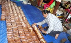 चाकु मिलाउँदै !