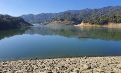 धाप ड्याम !