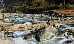 कालीगण्डकीमा अस्थायी काठेपुलको भर