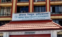 तीन महिनामा प्राधिकरणले कमायो साढे आठ अर्ब