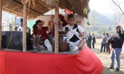 सडक महोत्सव !