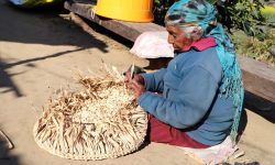 चकटी बुन्दै वृद्धा !