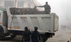 आगो ताप्न दाउरा वितरण !