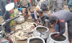 माछाको व्यापार गरिँदै !