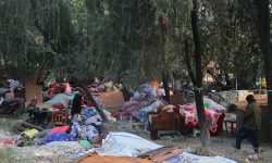 सकुम्बासीका पीडा : पहिले बस भने, अहिले हट भन्छन्