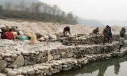 चितवनको ढुङ्ग्रे्रे खोलामा तटबन्ध निर्माण थालियो