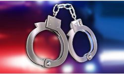 आफ्नै बुवाको हत्या गरेको अभियोगमा २८ वर्षीय छाेराे पक्राउ