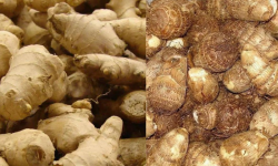 अदुवाभन्दा पिँडालु महँगो