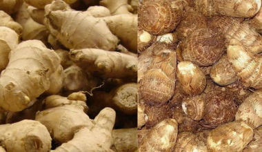 अदुवाभन्दा पिँडालु महँगो