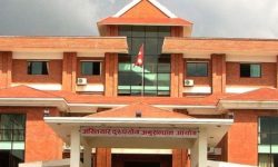 अख्तियारमा स्थानीय तहका उजुरी धेरै