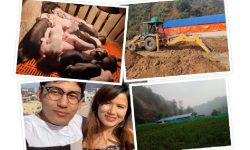 दक्षिण कोरियाबाट फर्केर बङ्गुरपालन