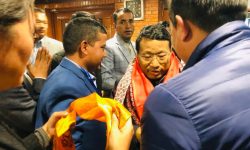 स्वास्थ्यमा सुधार आएपछि नेता पुन स्वदेश फिर्ता