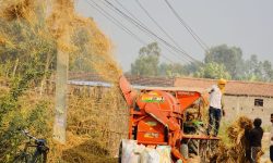 आधुनिक प्रविधिबाट धान झार्दै किसान !