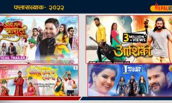 फ्लासब्याक–२०२२: यो वर्षका भोजपुरी चलचित्र