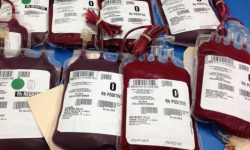 तारकेश्वरवासीले अब निःशुल्क रक्त सेवा पाउने