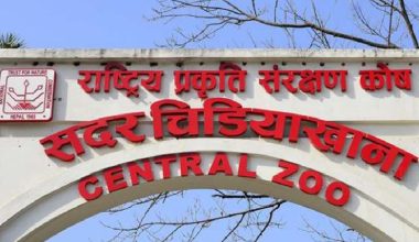 चिडियाखानामा अवलोकनकर्ताको भीड