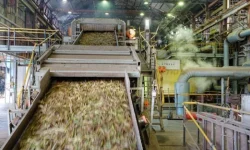 सर्लाहीका दुई चिनी उद्योग सञ्चालन