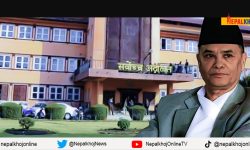 अनर्थ र स्वार्थको भुँमरीमा अधिकार र न्यायको उपहास: छिन्न मस्त विधिको शासन