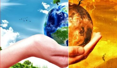 पाँचपोखरीमा जलवायु सम्मेलन सम्पन्न : ११ बुँदे घोषणापत्र जारी