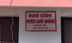 कांग्रेस वाग्मती प्रदेश संसदीय दलको नेतामा दुई जनाको उम्मेद्वारी दर्ता