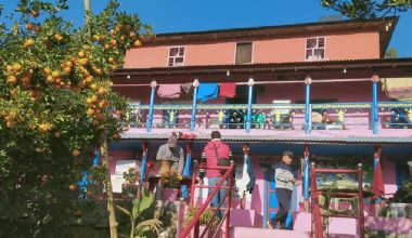 सुन्तलाको मौसमसँगै भीडभाड सुन्तलाबारी होमस्टे