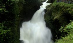 डेभिज फल्स अवलोकन गर्ने पर्यटक बढे