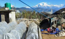 हाँडीकोटको काखमा ढोरपाटन ‘फार्मस्टे’