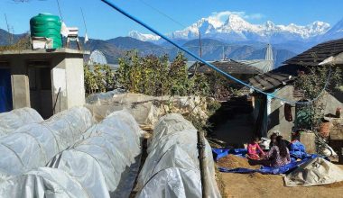 हाँडीकोटको काखमा ढोरपाटन ‘फार्मस्टे’