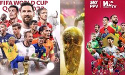 विश्वकप-२०२२: यस्तो भयो अन्तिम १६ को समिकरण ?