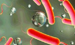 बुरुन्डीमा हैजाको प्रकोप