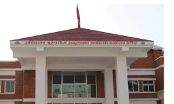 हेटौंडामा चार महिनामा चार सय ९४ उजुरी