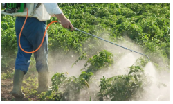 विषादीको प्रयोगमा सावधानी अपनाउन सुझाव