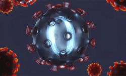 ओमिक्रोनको नयाँ सव-भेरियन्ट भारत भित्रिएपछि नेपाललाई डर