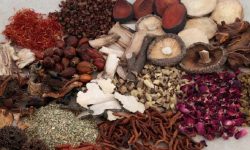 कौडीमा बिक्री हुन्छन् कर्णालीका जडीबुटी