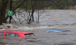 कङ्गो बाढीपहिरो : एक सय जनाको मृत्यु