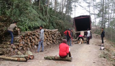 धनकुटाबाट ५० करोड बढीको काठ निर्यात