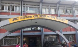 खाद्य व्यवस्था कम्पनीले भन्याे- चाँडो धान किन्दा गुणस्तर नपुग्ने भएकाले ढिलाइ