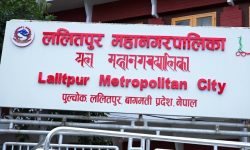 लोपोन्मुख जनावरको उद्धार र व्यवस्थापनमा विशेष ध्यान दिन आवश्यक