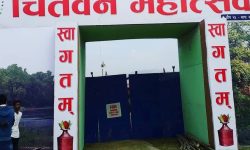 चितवन महोत्सवको तयारी तीव्र, कृषिलाई विशेष प्राथमिकता दिइने