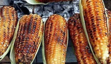 मकै पोलेर गुजारा !