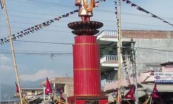 मच्छिन्द्र मेला, कृषि र पर्यटन ब्यापार महोत्सव