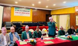 अडिटर्स एसोसिएसनको २० बुँदे प्रस्ताव