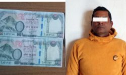 नेपाली जाली नोट सहित एक व्यक्ति पक्राउ