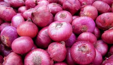 आयात रोक्न प्याजमा अनुदान