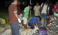 राजमार्गले असुरक्षित बन्दै पर्सा निकुञ्ज