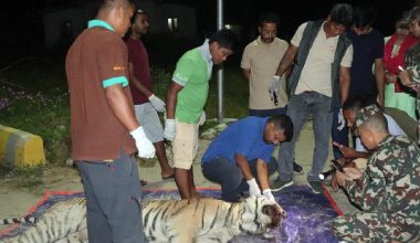 राजमार्गले असुरक्षित बन्दै पर्सा निकुञ्ज