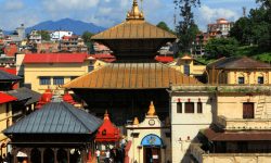 नयाँ वर्षका अवसरमा पशुपतिनाथमा पूजाआजा