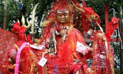 पाथीभरामा तीर्थयात्रीको आगमन बढ्यो