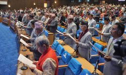 प्रतिनिधिसभामा विविधताको प्रतिनिधित्व